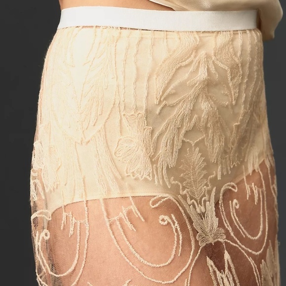 NWT Anthropologie Sheer Embroidered Skirt Rose Medium - Picture 4 of 6